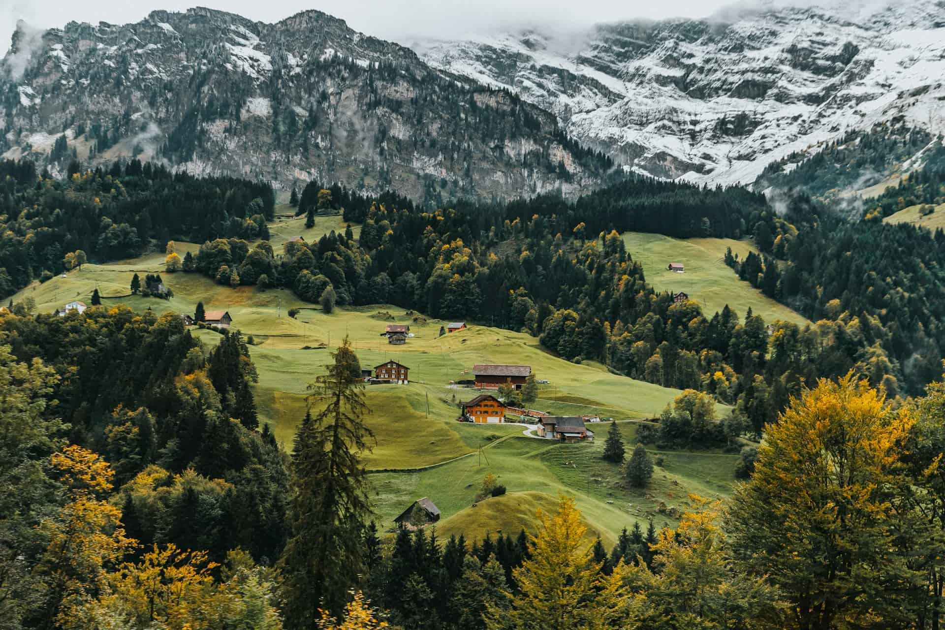 Schweizer Bergdorf mit Holzhäusern auf grüner Almwiese vor schneebedeckten Alpen