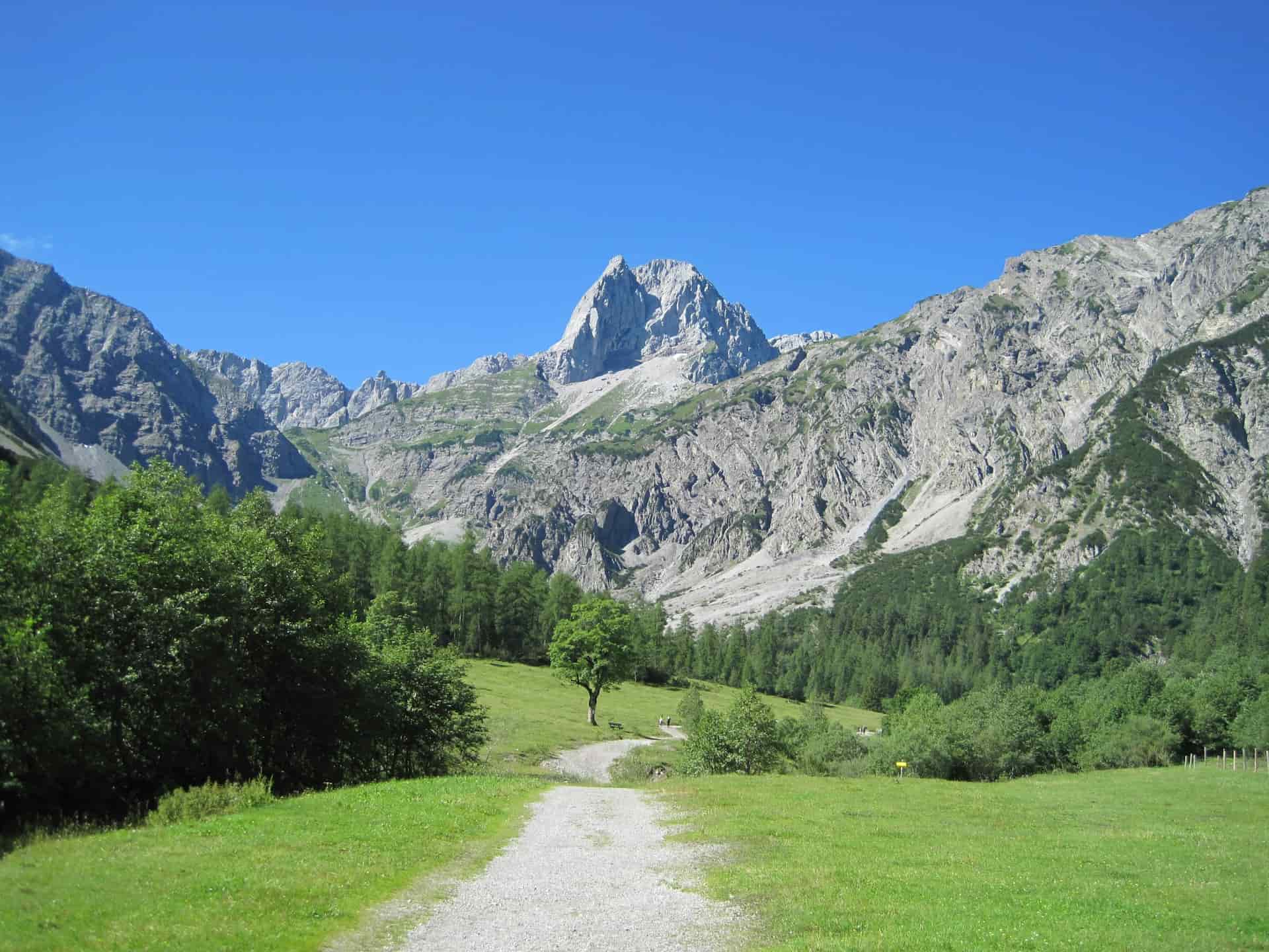 Wanderweg durch grüne Almwiese mit Blick auf schroffe Kalkalpen-Gipfel in Österreich